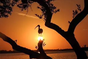 9426 Andover Cir, Bradenton, FL 34210 - Photo 72