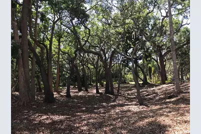 4407 S Shade Avenue, Sarasota, FL 34231 - Photo 10