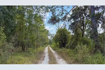 Tbd-1 SE Us-41 Highway, White Springs, FL 32096 - Photo 6