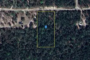 10758 194th Terrace, O'Brien, FL 32071 - Photo 1