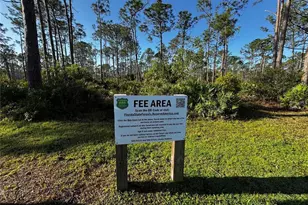 9031 Hilolo Ln, Venice, FL 34293 - Photo 42