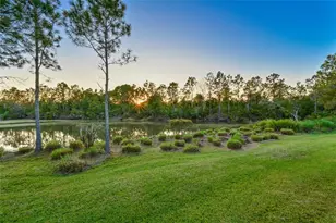 2811 130th Ave E, Parrish, FL 34219 - Photo 24