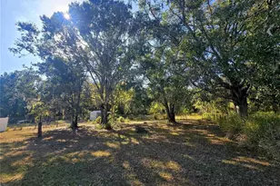 4827 Myrick Ave, Bowling Green, FL 33834 - Photo 4