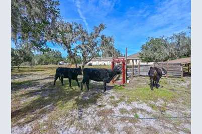 40305 73rd Avenue E, Myakka City, FL 34251 - Photo 30