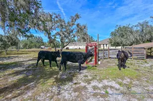 40305 73rd Ave E, Myakka City, FL 34251 - Photo 30