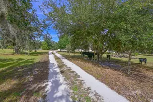 40305 73rd Ave E, Myakka City, FL 34251 - Photo 2