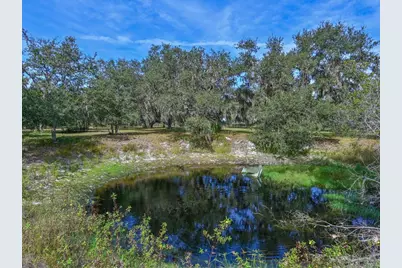 40305 73rd Avenue E, Myakka City, FL 34251 - Photo 4