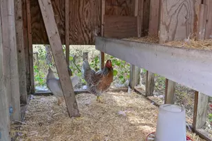 40305 73rd Ave E, Myakka City, FL 34251 - Photo 34