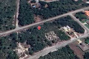 978 Archie Summers Rd, Lake Placid, FL 33852 - Photo 4