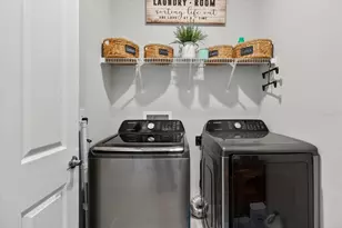 11823 Tetrafin Dr, Riverview, FL 33579 - Photo 58