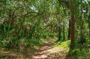 3320 Hadfield Greene, Sarasota, FL 34235 - Photo 46