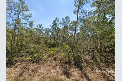 3234 Flatbush Avenue, Lake Placid, FL 33852 - Photo 1