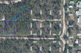 430 Hummingbird Ave, Sebring, FL 33872 - Photo 2