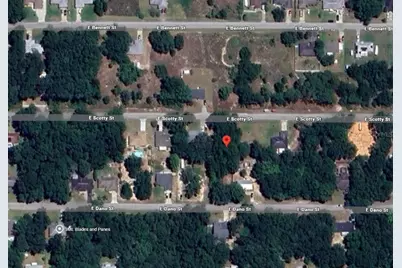 3970 E Scotty Street, Inverness, FL 34453 - Photo 4