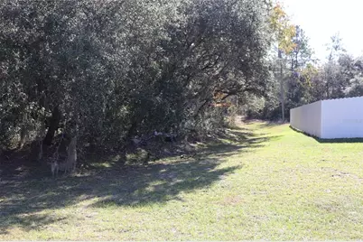 Tbd SW 157th Street, Ocala, FL 34473 - Photo 2