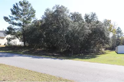 Tbd SW 157th Street, Ocala, FL 34473 - Photo 10