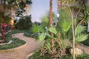 500 N Osceola Ave, Clearwater, FL 33755 - Photo 44