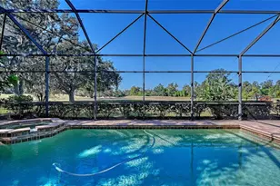 2909 Old Orchard Ln, Parrish, FL 34219 - Photo 48