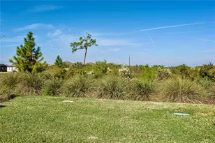 10641 Spring Tide Wy, Parrish, FL 34219 - Photo 28