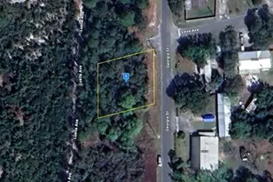 45705 Georgia St, Paisley, FL 32767 - Photo 1