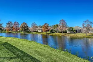 529 Habitat Blvd, Osprey, FL 34229 - Photo 48