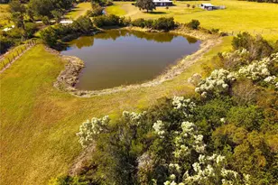 14010 County Line Rd, Myakka City, FL 34251 - Photo 30