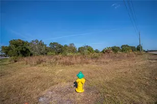 SW Co Rd 760A, Arcadia, FL 34266 - Photo 20