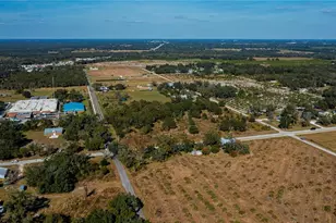 SW Co Rd 760A, Arcadia, FL 34266 - Photo 8