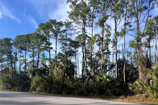 13486 Chamberlain Blvd, Port Charlotte, FL 33953 - Photo 1