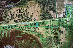 0 Polk Rd, Polk City, FL 33868 - Photo 1