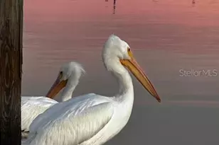 10315 Cortez Rd W, Bradenton, FL 34210 - Photo 32