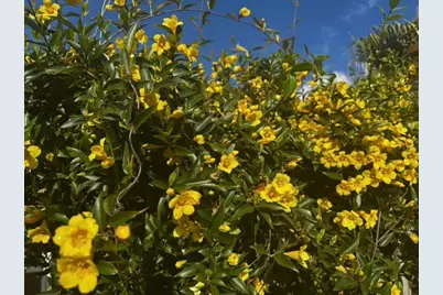 4542 35th Avenue Circle E, Palmetto, FL 34221 - Photo 28