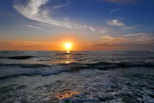 8779 Midnight Pass Rd, Sarasota, FL 34242 - Photo 14