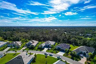 3827 158th Ave Cir E, Parrish, FL 34219 - Photo 66