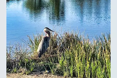 11120 McDermott Court, Englewood, FL 34223 - Photo 46