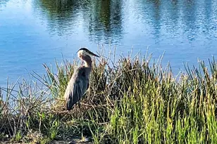 11120 McDermott Ct, Englewood, FL 34223 - Photo 46