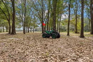 4940 Wauchula Rd, Myakka City, FL 34251 - Photo 66