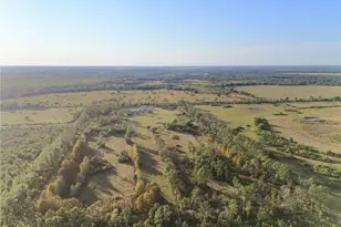 10989 NW Lily County Line Rd, Ona, FL 33865 - Photo 6