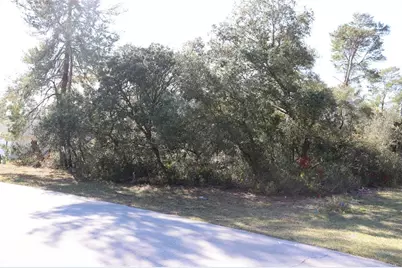 Tbd Marion Oaks Golf Road, Ocala, FL 34473 - Photo 6