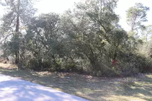 Tbd Marion Oaks Golf Rd, Ocala, FL 34473 - Photo 1