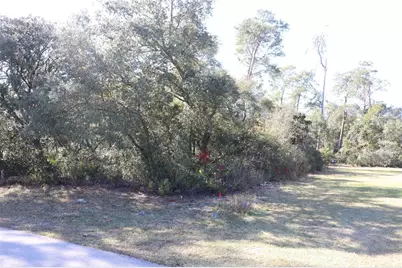 Tbd Marion Oaks Golf Road, Ocala, FL 34473 - Photo 4