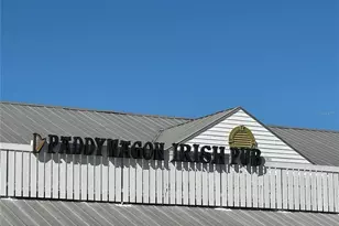 4158 66th St Cir W, Bradenton, FL 34209 - Photo 38