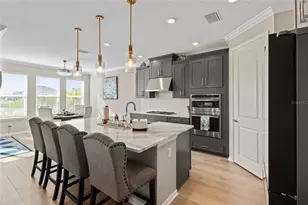 16545 Star Grass Cir, Bradenton, FL 34211 - Photo 4