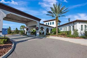 17003 Clear Cork Dr, Wimauma, FL 33598 - Photo 44