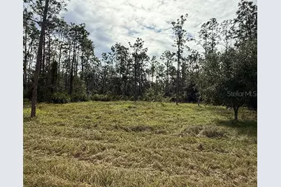 Sr-70 E, Myakka City, FL 34251 - Photo 4
