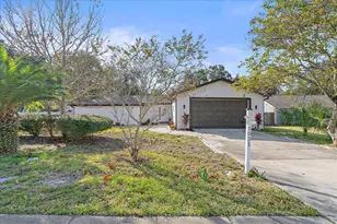 1021 15th St, Palm Harbor, FL 34683 - Photo 1