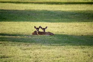 13221 N Branch Rd, Sarasota, FL 34240 - Photo 62