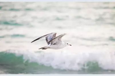 4660 Ocean Boulevard #E2, Sarasota, FL 34242 - Photo 52