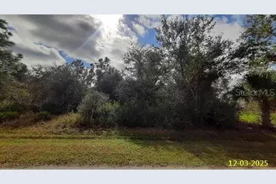 29371 Pontico Street, Punta Gorda, FL 33982 - Photo 1