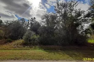 29371 Pontico St, Punta Gorda, FL 33982 - Photo 1